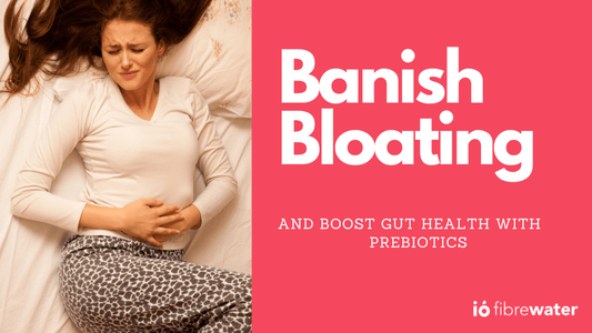 bloated stomach prebiotics help gut health