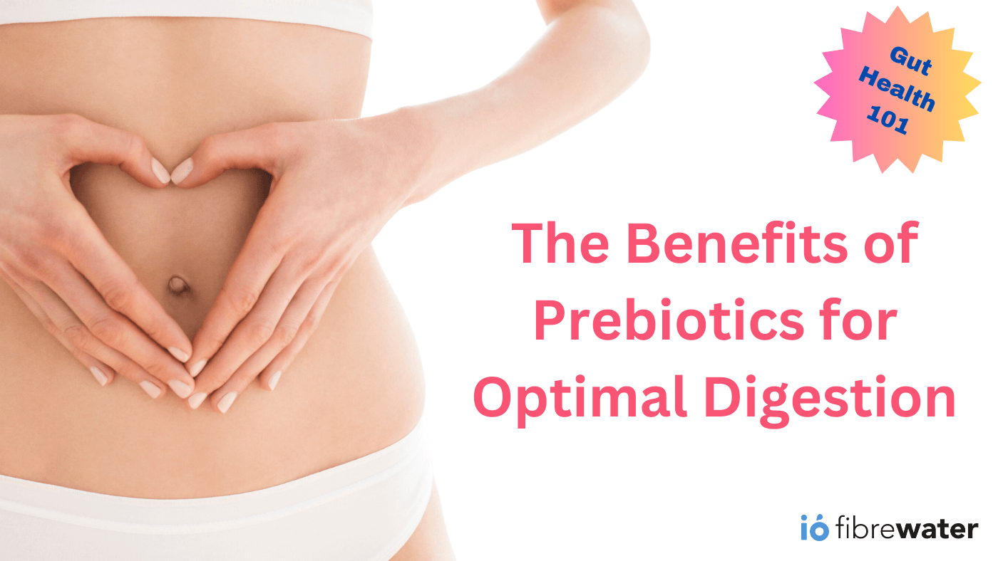 Gut Health 101 Harnessing The Benefits Of Prebiotics For Optimal Dige Ió Fibrewater 9473