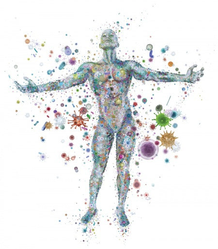 image for about prebiotics