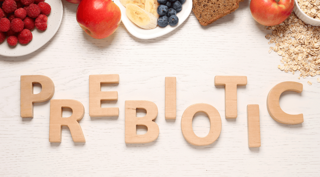 what is prebiotic fibre?