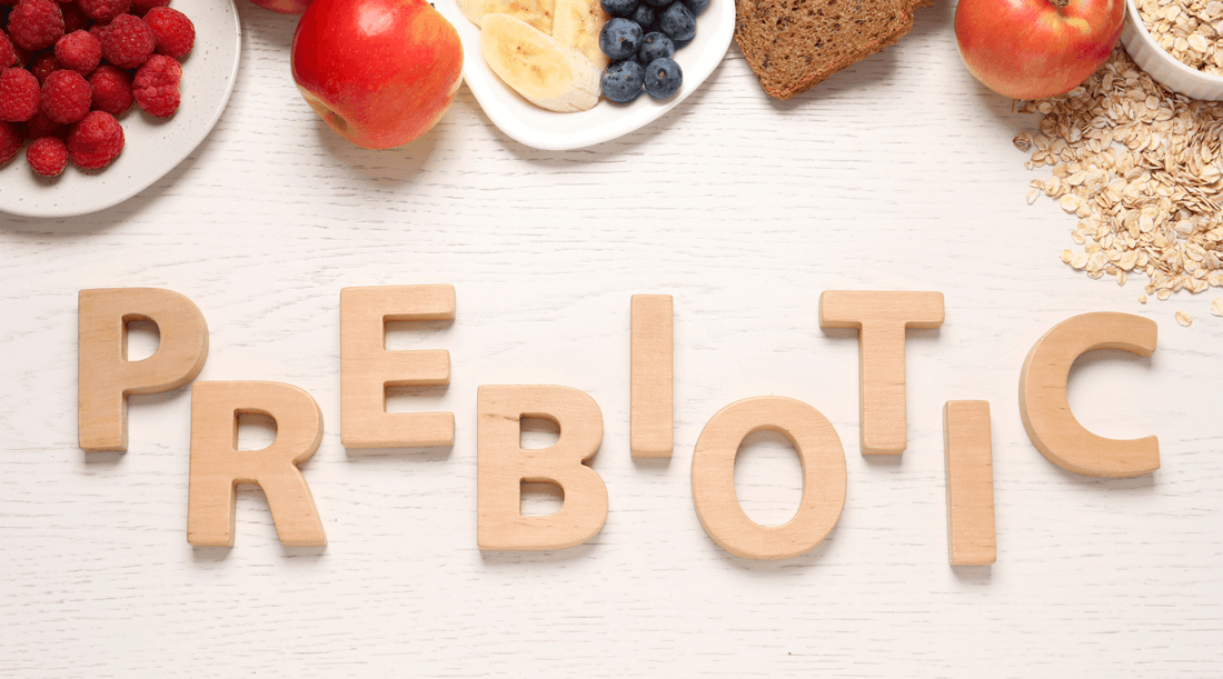 what is prebiotic fibre?