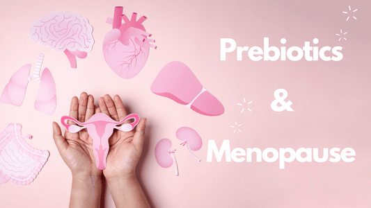 Gut Check: How Prebiotics Can Help You Conquer Menopause
