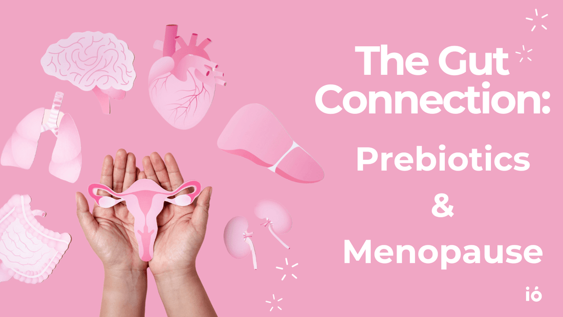 The Gut Connection: How Prebiotics Support Menopause Symptoms, Hormonal Balance, Brain and Heart Health
