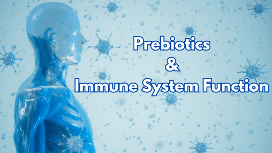 prebiotics & immune system function