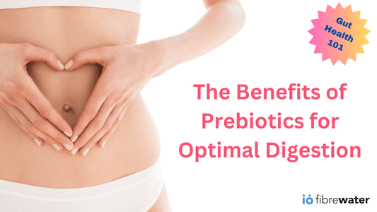 Gut Health 101: Harnessing the Benefits of Prebiotics for Optimal Digestion