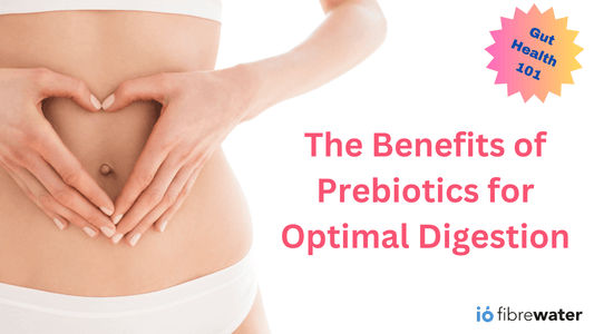 Gut Health 101: Harnessing the Benefits of Prebiotics for Optimal Digestion