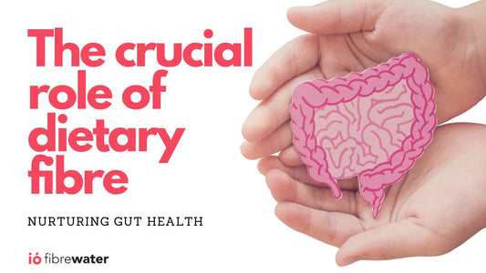 Nurturing Gut Health: The Crucial Role of Dietary Fibre