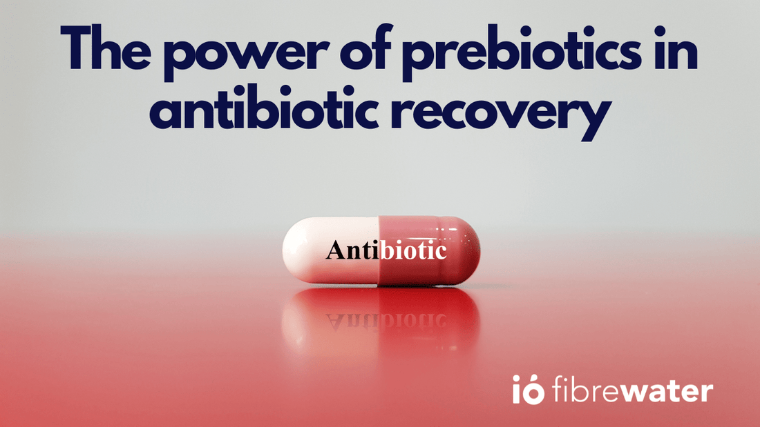 Nurturing Your Gut: The Power of Prebiotics in Antibiotic Recovery