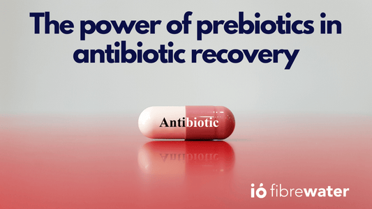 Nurturing Your Gut: The Power of Prebiotics in Antibiotic Recovery