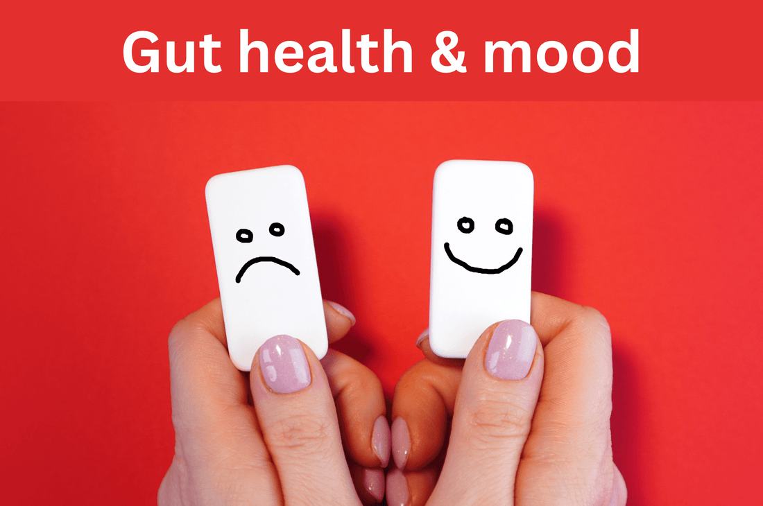 gut health mood, depression, anxiety