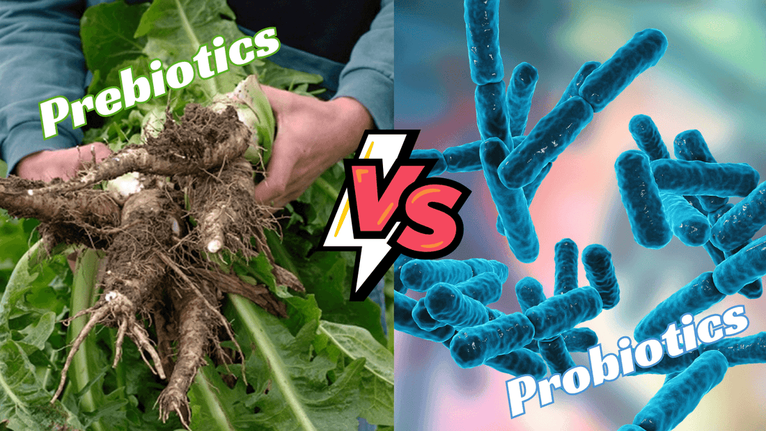 prebiotics vs probiotics what's the difference?