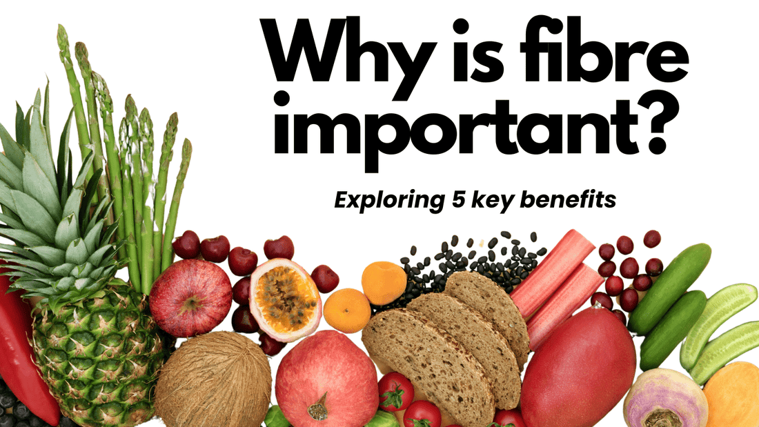 why is fibre important 5 key benefits