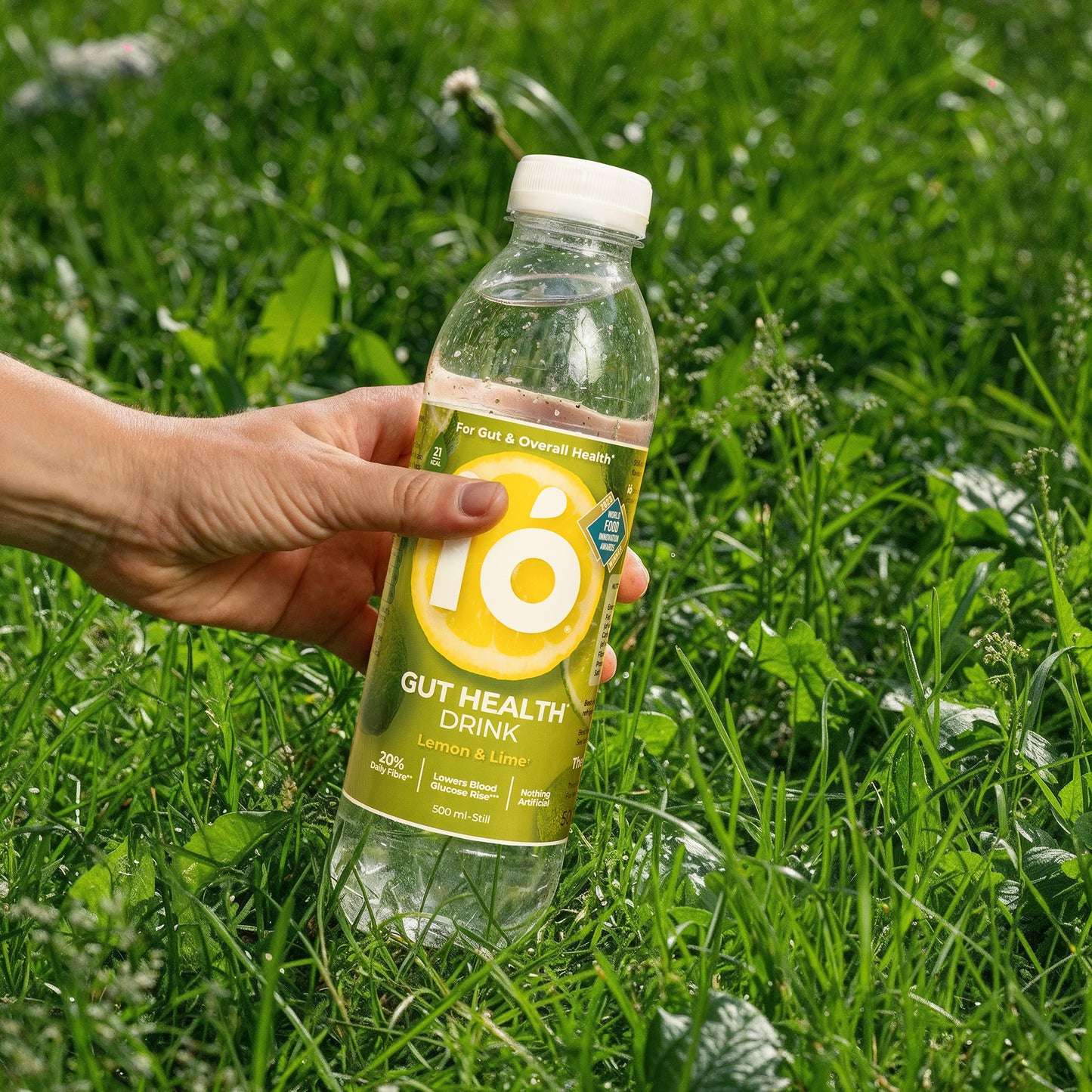 Lemon & Lime - 12 x 500 ml